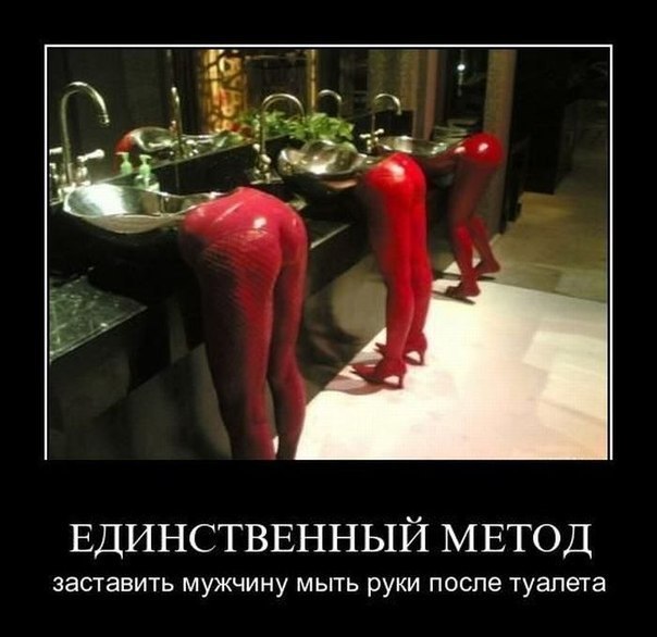 x_5207dacb.jpg