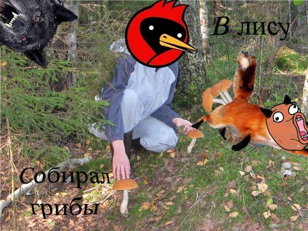 post-3-13336062571740.jpg